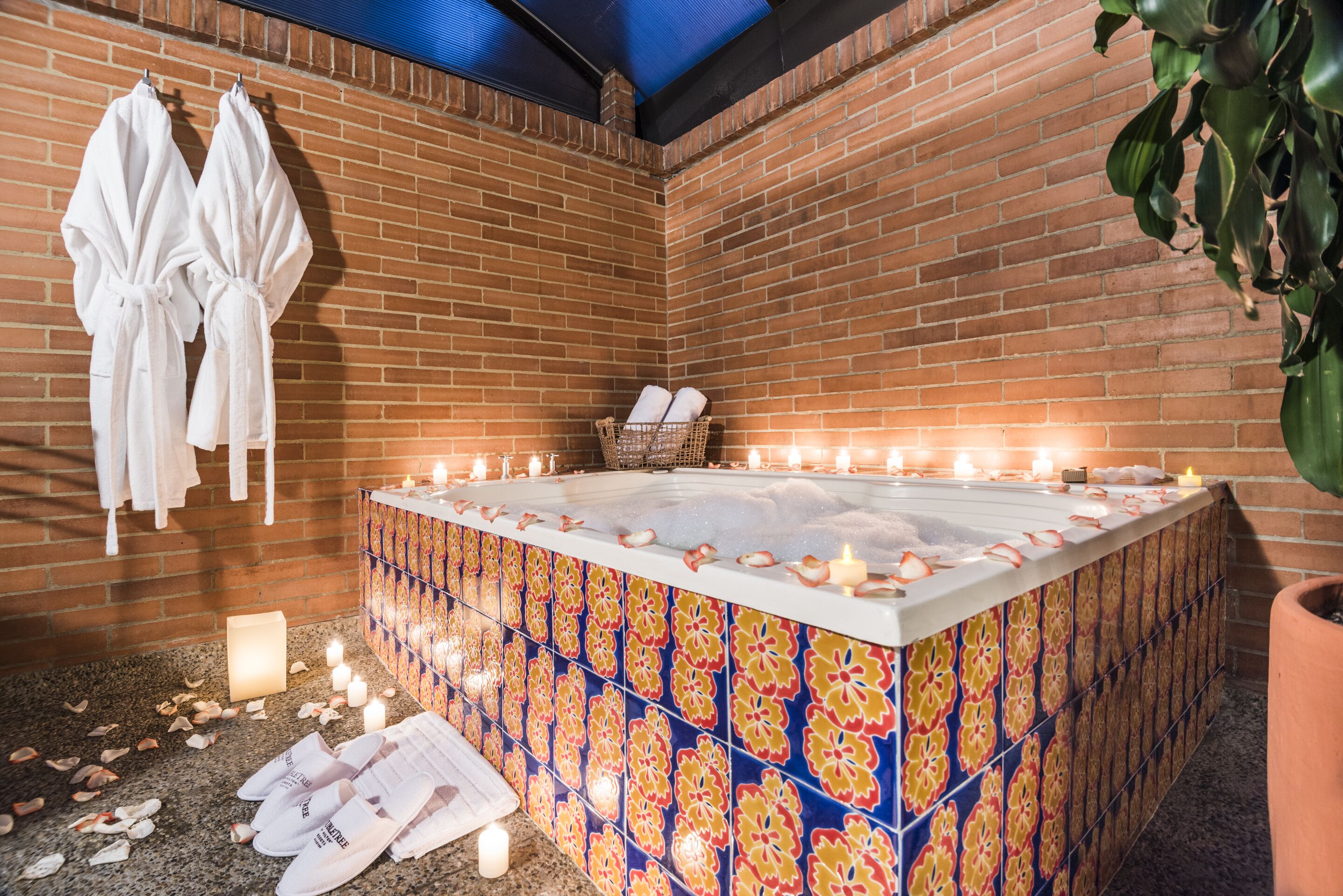 Photo - Cosmos 100 Executive