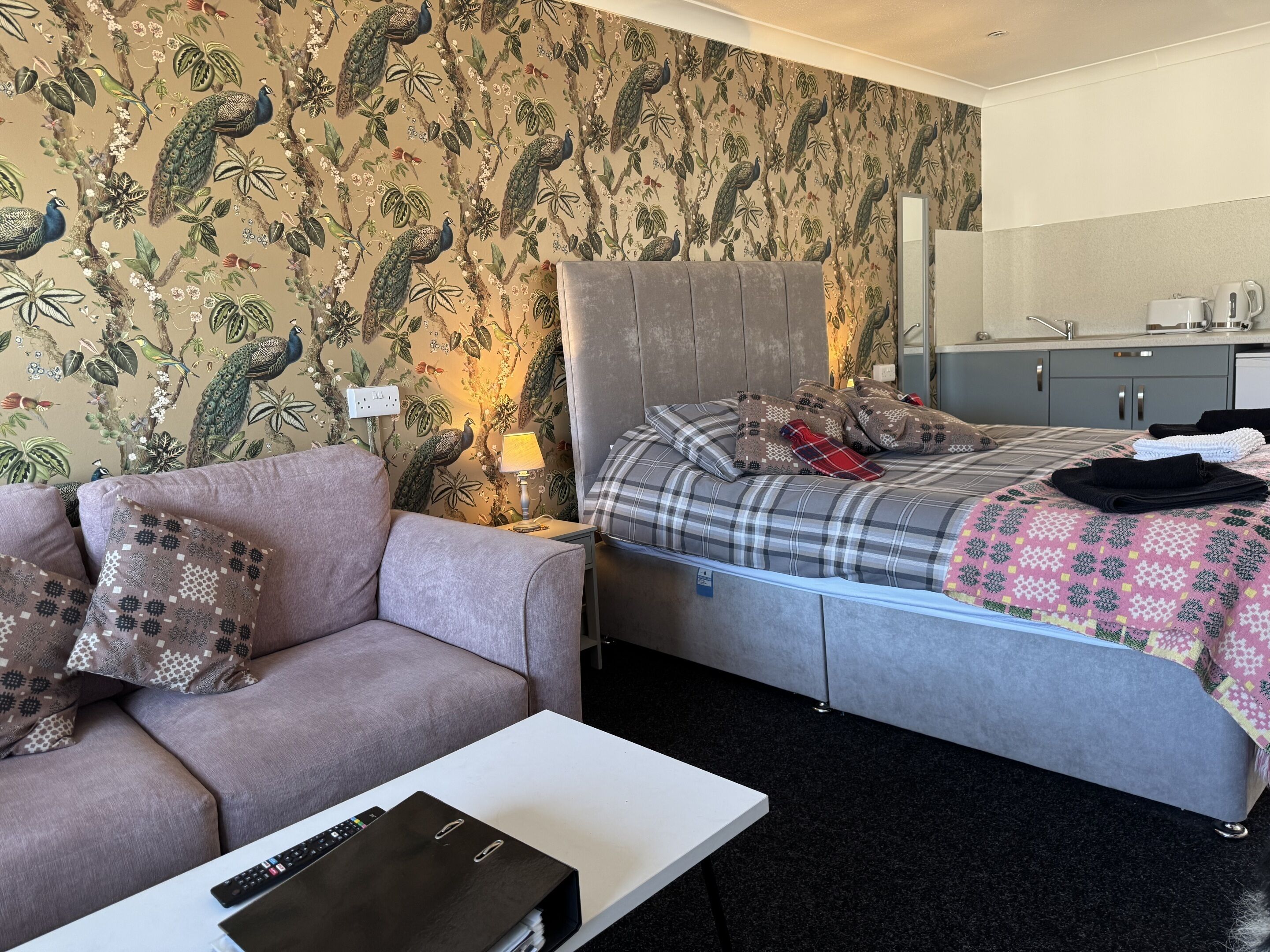 A room with a bed, a sofa, a nightstand, and a desk.