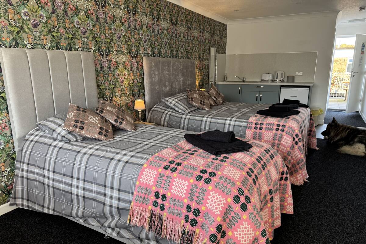 A hotel room with two beds, a large mirror, a small desk, and a dog on the floor.