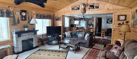 TV, DVD player, books, video library