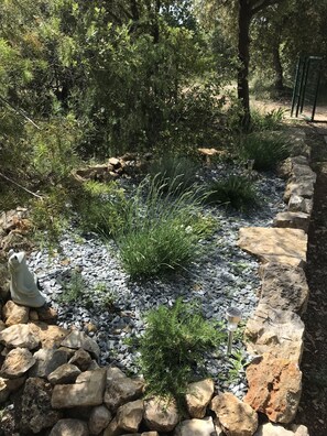 Property grounds - Chalet in the heart of nature with swimming pool on a property of several hectares (BARJOLS)