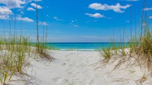 Walk along the pristine beach, bordered by lush green grasses, and enjoy the calm ocean views.