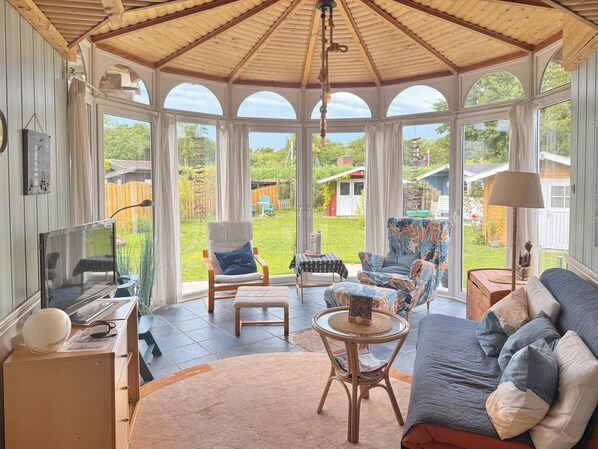 TV, fireplace, books