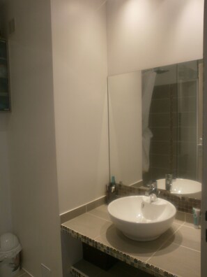 Shower - T2/T3 on the heights of Manosque, with shared garden (MANOSQUE)