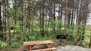 Een picknicktafel in een bebost gebied met een grindpad.