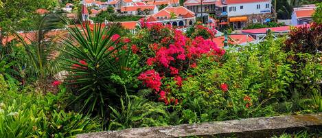 Terrain de lâhĂ©bergement