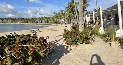 Caribbean oasis with beautiful villas overlooking nature