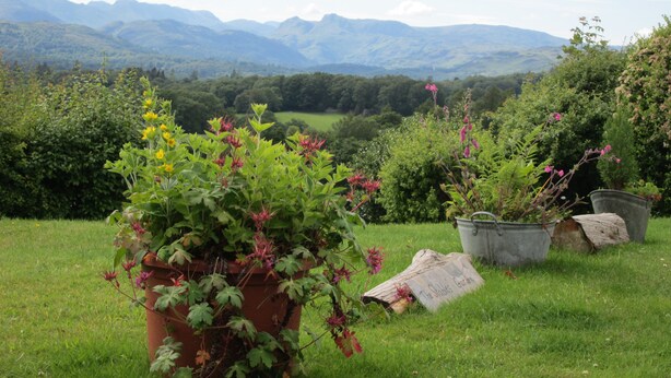 Ein Garten mit verschiedenen Pflanzen und Blumen, ein hölzernes Schild und eine Aussicht auf ferne Berge.