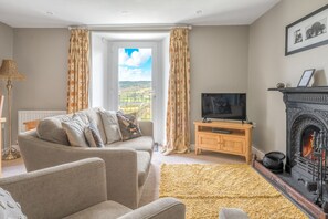 TV connectée, cheminée, lecteur de DVD