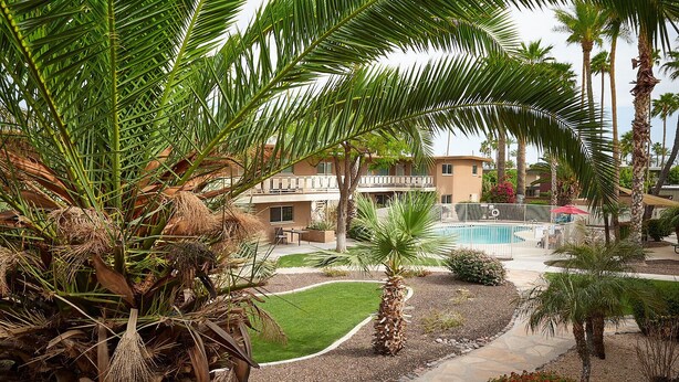A pool area with palm trees, a lawn, and a building with balconies in the background.