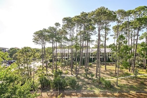 A building surrounded by tall pine trees, with a parking lot and a pathway in the foreground.