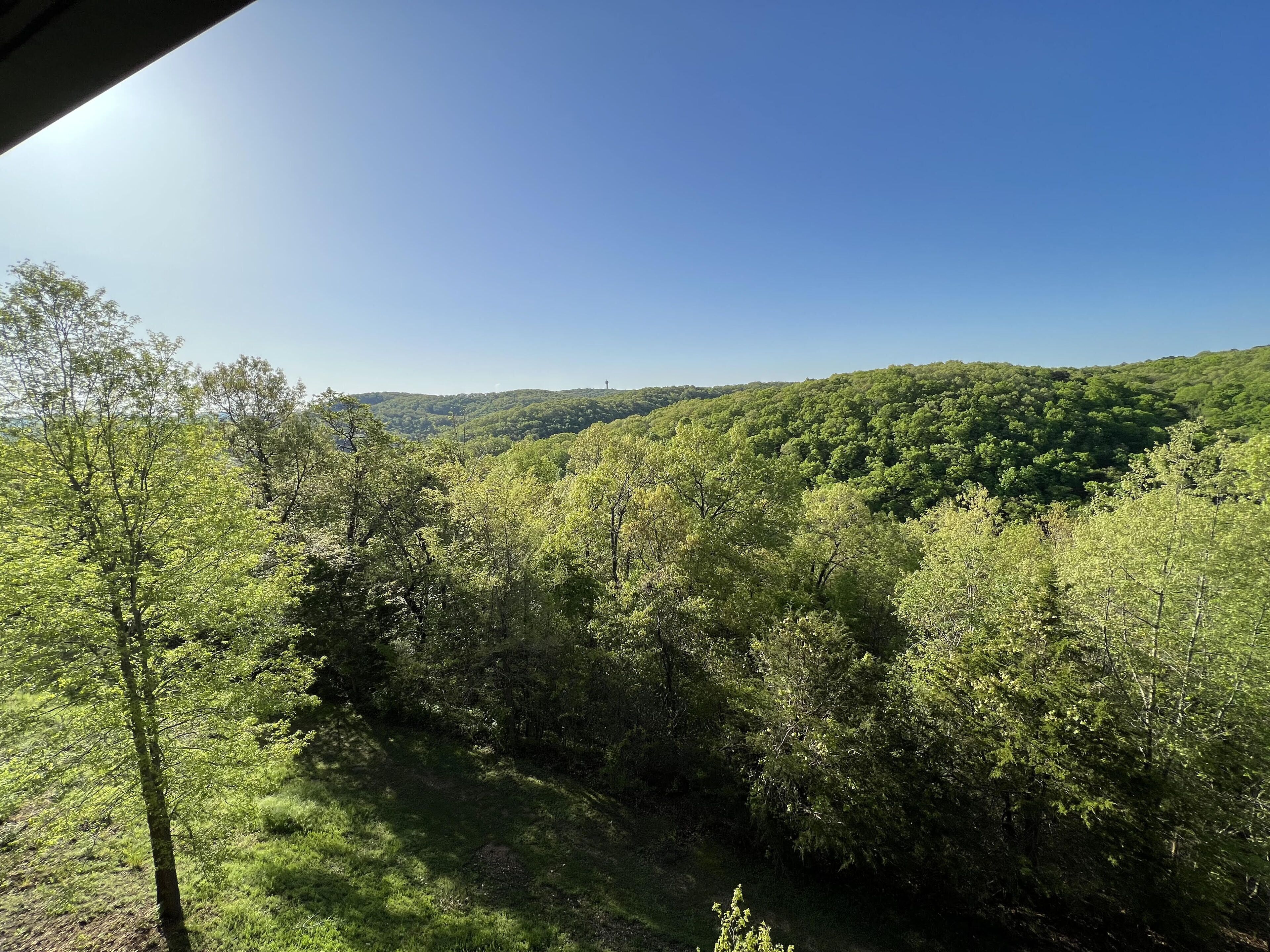 Un paysage boisé sous un ciel dégagé.
