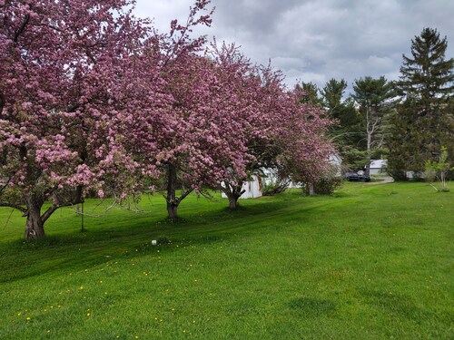Home in the Country near Alfred NY
