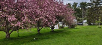 Home in the Country near Alfred NY