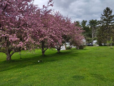 Home in the Country near Alfred NY