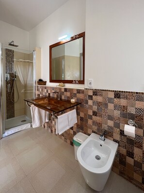 Regadera, secadora de cabello, bidet, toallas 