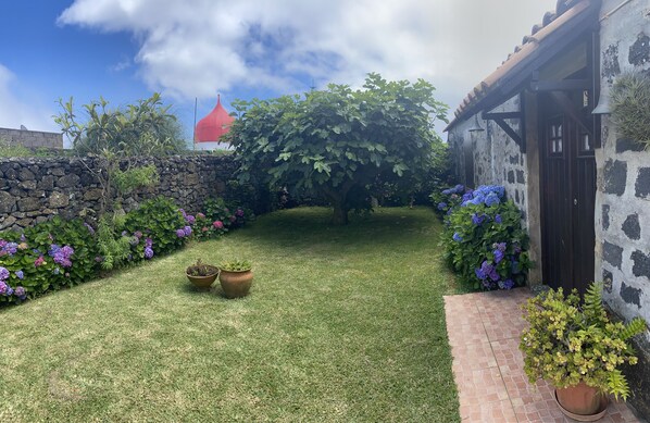 A well-maintained garden with a stone wall, a large tree, and potted plants. - House with garden and private parking, 5 minutes from the city center. (Ponta Delgada)