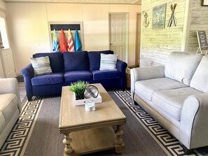 Smart TV, fireplace, DVD player, video library