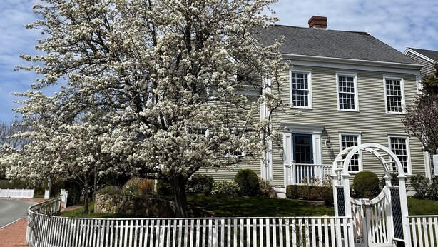 Una casa de dos pisos con cerca blanca de piquete, césped cuidado y un gran árbol lleno de flores al frente.