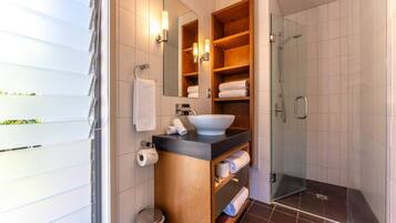 Shower, hair dryer