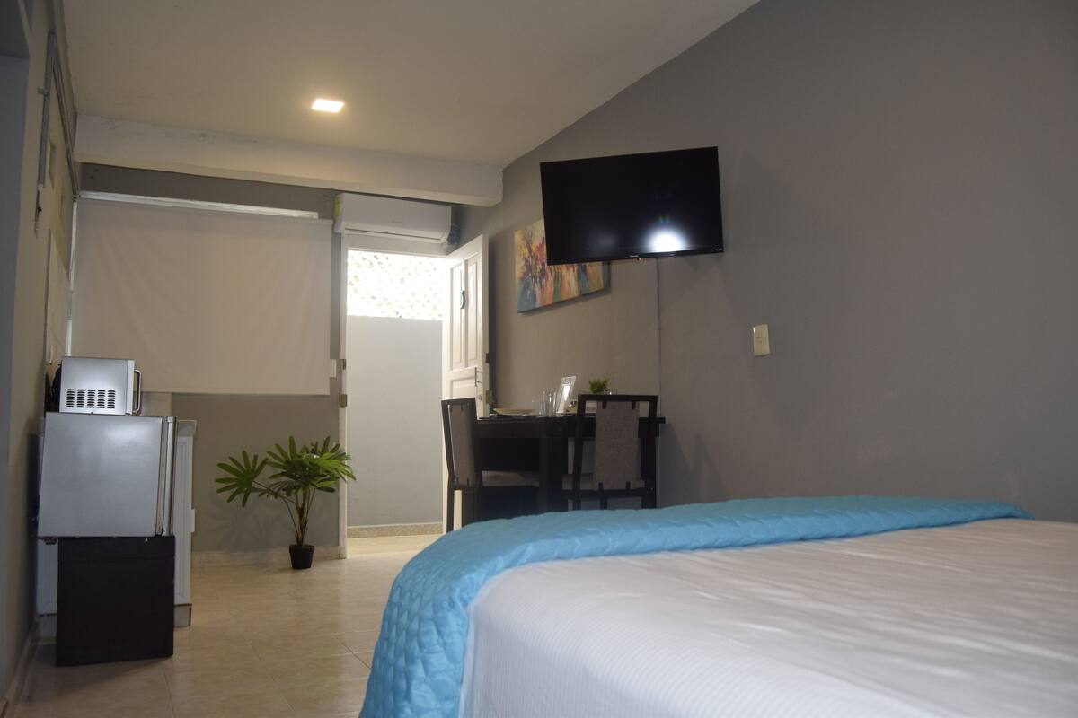A hotel room with a bed, a desk, a television, a refrigerator, and a potted plant.