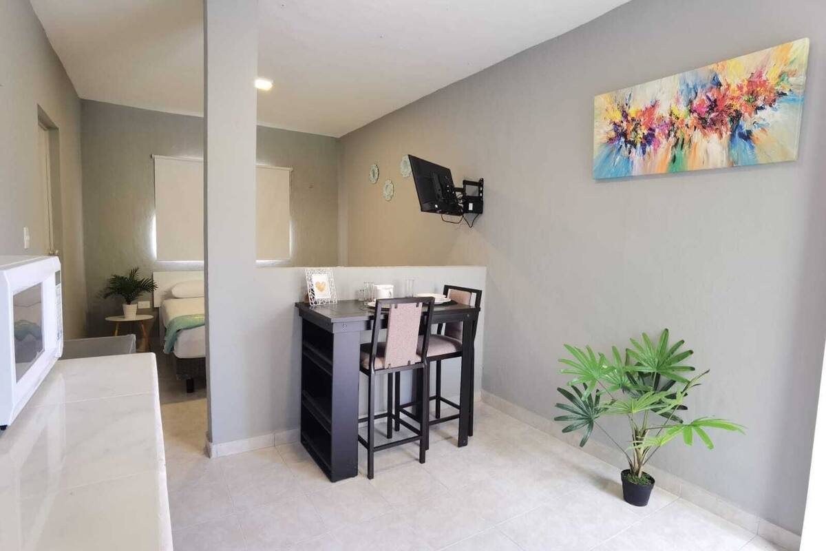 A compact living space with a kitchenette, a dining area with a small table and chairs, a bed, and a single potted plant.