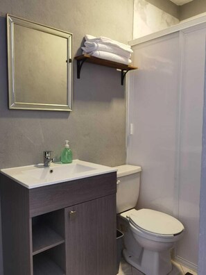 A bathroom with a white sink, a mirror, a toilet, and a shower.