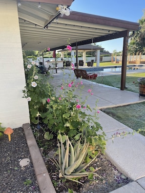 Overnattingsstedets uteområder