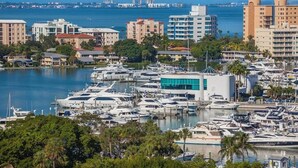 A marina with numerous yachts docked, surrounded by residential buildings and a clear blue sky.