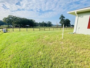 Escape to a serene outdoor space surrounded by lush greenery and a charming outbuilding.
