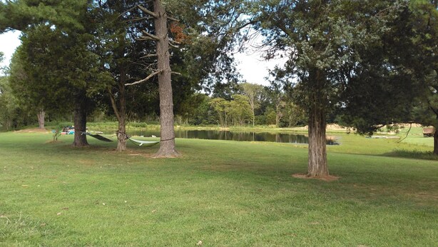 A grassy park area with trees and a pond. - Primitive campsites, pond, wildlife, campfires (West Frankfort)