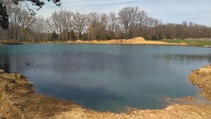 A clear view of a lake surrounded by trees and a sandy area. - Primitive campsites, pond, wildlife, campfires (West Frankfort)