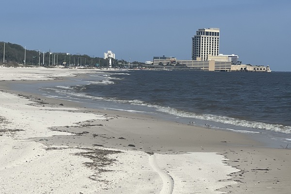 Sun-loungers, beach towels