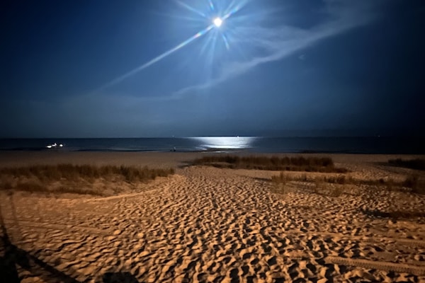 Sun-loungers, beach towels