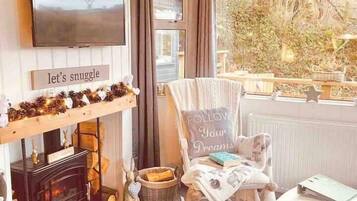 Télévision, cheminée