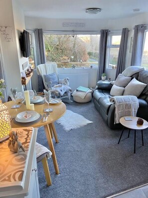 TV, fireplace - A beautiful, unique lodge, made for two (Lampeter)