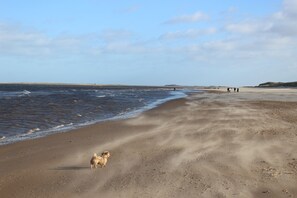Playa