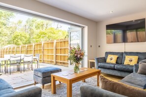 Televisión y chimenea 