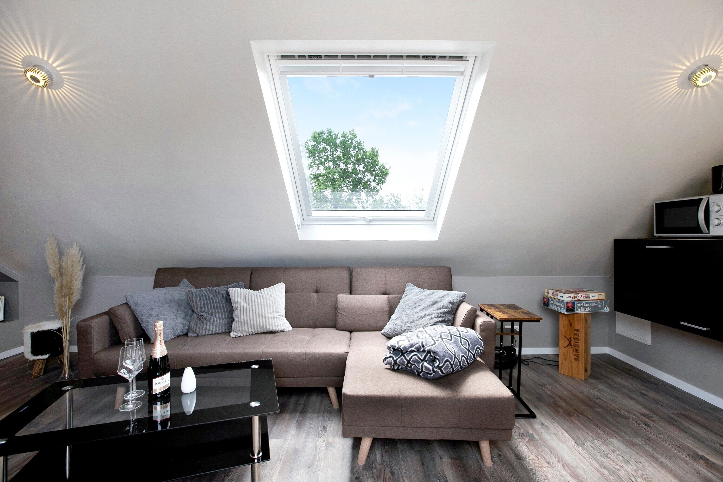 Televisión, reproductor de DVD