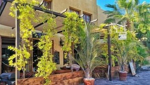 Un espace extérieur aménagé avec des bancs en bois et des plantes en pot.