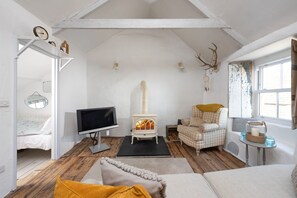 Une pièce confortable avec une cheminée, une télévision, un lit et une fenêtre.