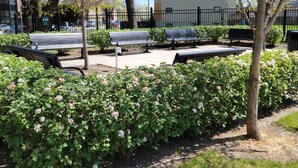 A park with benches, a pathway, and flowering bushes. - Cozy 1-2 BR APT w/fireplace & Patio/Deck (Chicago)