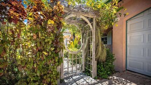 Un pórtico de madera con plantas trepadoras, un camino pavimentado y una puerta de garaje.