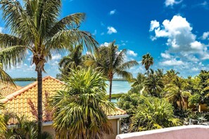 Immagine non classificata, 5 di 50, pulsante