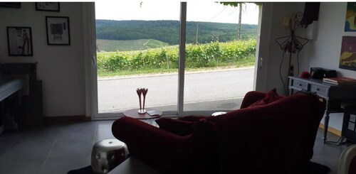 Apartment facing the Champagne's vineyards 1 Bedroom + 1 bathroom