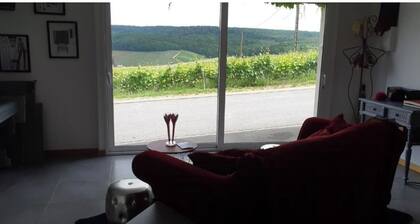 Apartment facing the Champagne's vineyards 1 Bedroom + 1 bathroom