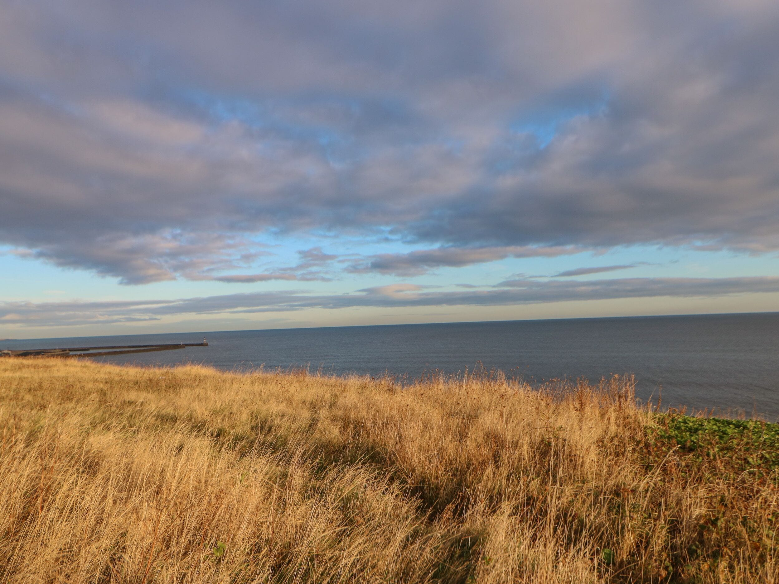 A coastal landscape with dry grass in the foreground and a calm sea under a cloudy sky.