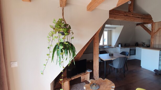 Une cuisine moderne avec un coin repas, des poutres en bois et une plante suspendue.