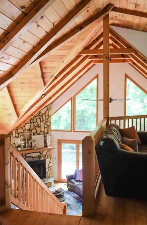 Smart TV, fireplace, books, computer monitors