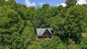Une cabane entourée d’une forêt dense.